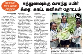 இயற்கை வகை காய்கறி தோட்டம் 